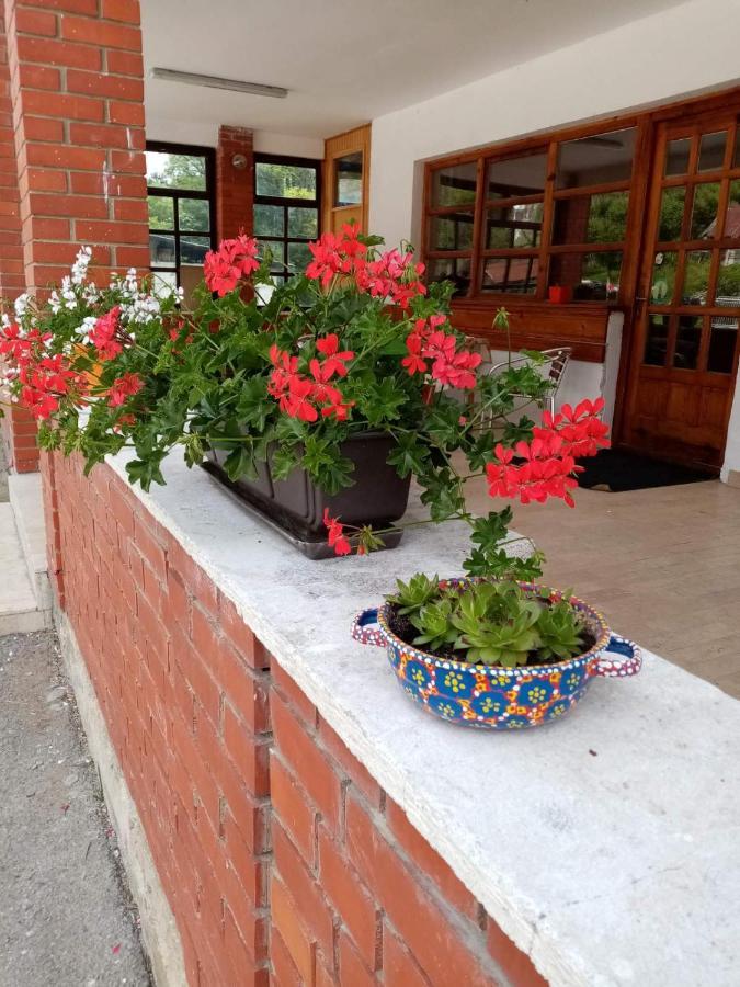 Apartman Dunja I Milos โมกราโกรา ภายนอก รูปภาพ